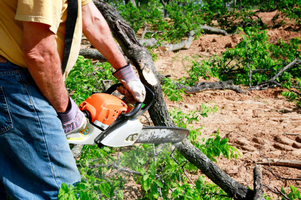 Best Lawn Grading and Leveling  in Atherton, CA